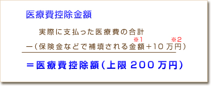 医療費控除金額